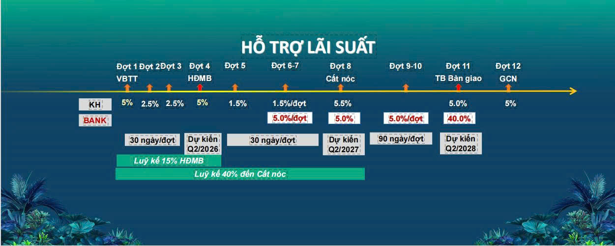 PTTT HTLS - Happy One Mori